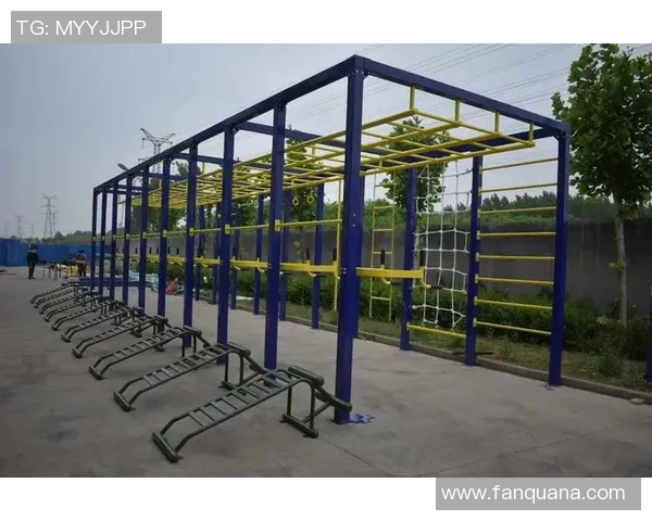 深圳攀岩队心理素质研究：挑战与应对策略的深度分析